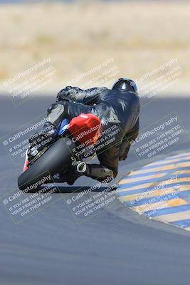 media/May-13-2023-SoCal Trackdays (Sat) [[8a473a8fd1]]/Turn 11 Backside (945am)/